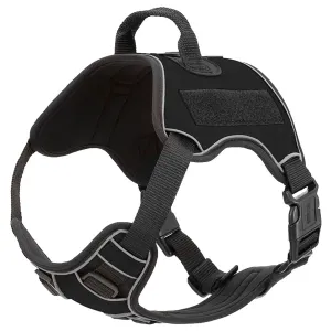 Quest Multi-Purpose Harness, XLarge