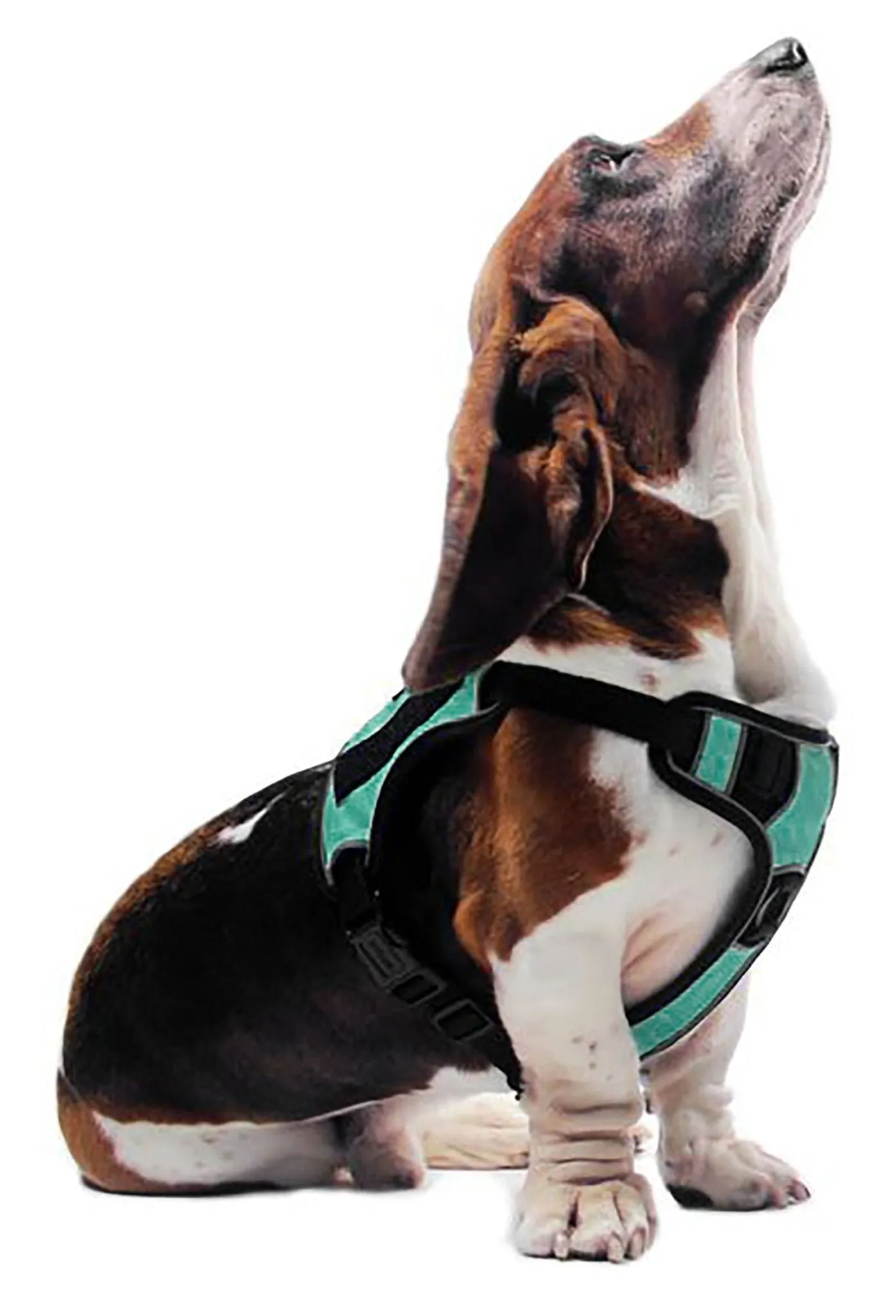 Quest Multi-Purpose Harness, XSmall